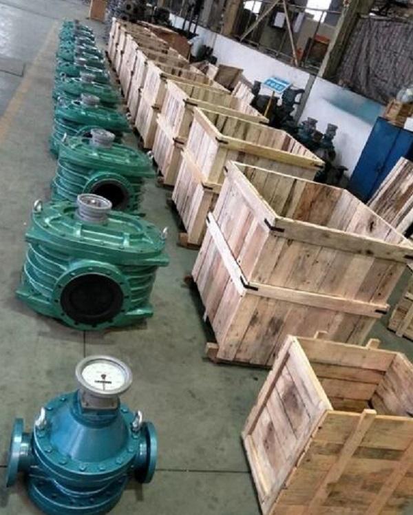 fuel flow meter